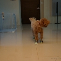 Kirby.2012.09.27-006.JPG