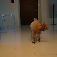 Kirby.2012.09.27-007.JPG