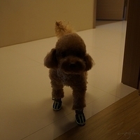 Kirby.2012.09.27-008.JPG
