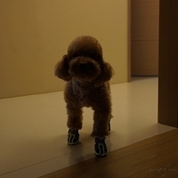 Kirby.2012.09.27-009.JPG