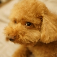 Kirby.2014.09.13-001