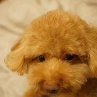 Kirby.2014.09.13-002