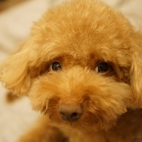 Kirby.2014.09.13-003