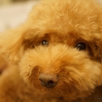 Kirby.2014.09.13-008