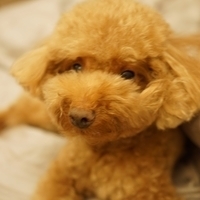 Kirby.2014.09.13-015