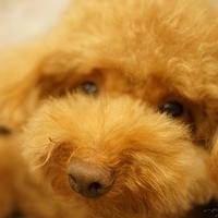 Kirby.2014.09.13-017