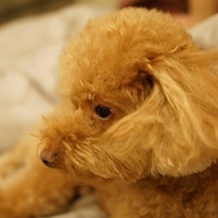 Kirby.2014.09.13-024