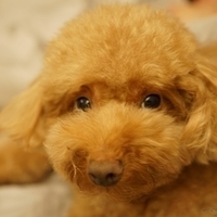 Kirby.2014.09.13-025