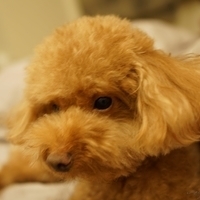 Kirby.2014.09.13-031