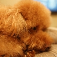 Kirby.2014.09.20-005