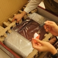 2010.03.21-Acer-004.JPG