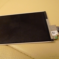 2011.02.25-001.JPG