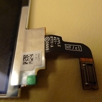 2011.02.25-002.JPG