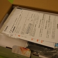 2013.03.26-002.JPG