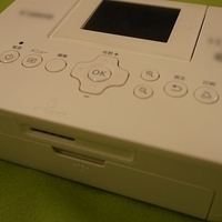 2013.03.26-006.JPG