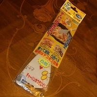 2008.11.18-001.JPG