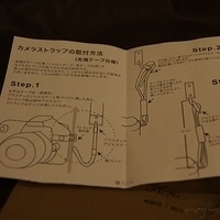 2011.05.28-Acru-009.JPG