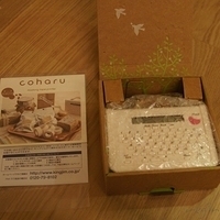 2011.09.13-coharu-003.JPG