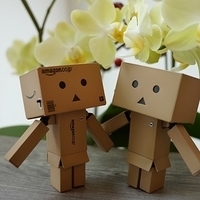 Danboard