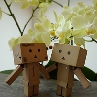 2014.02.15-004.JPG