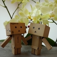 2014.02.15-005.JPG