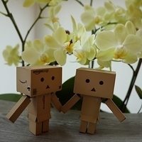 2014.02.15-006.JPG