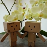 2014.02.15-007.JPG