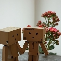 2014.02.15-011.JPG