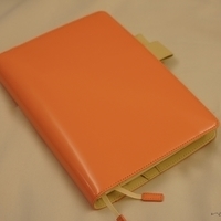 Hobonichi Techo 2015
