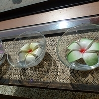 2010.01.19-001