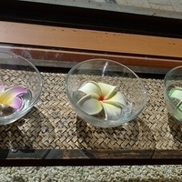 2010.01.19-002