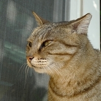 2010.01.19-012