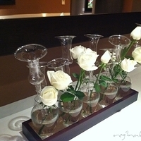 2011.11.28-009.JPG
